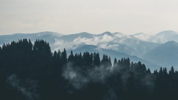 mountains-clouds-forest-fog